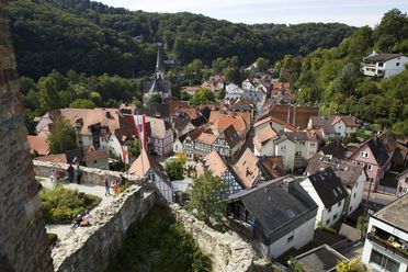 Im Vordergrund sind Teile der Burgruine Eppstein zu sehen, dahinter die Dächer des kleinen Ortes. 
