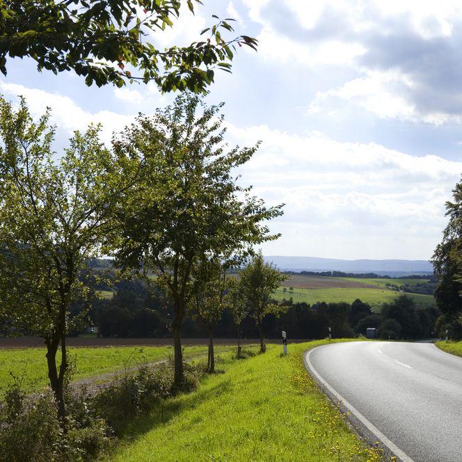 eine Landstraße führt durch sanfte Hügel und grüne Natur