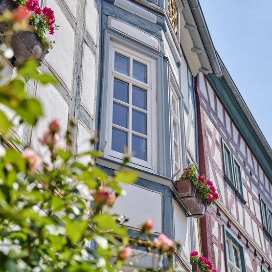 Blick von unten auf das obere Stockwerk eines restaurierten Fachwerkhauses in Bad Camberg. Auf der linken Seite sind blühende Rosen zu sehen. 
