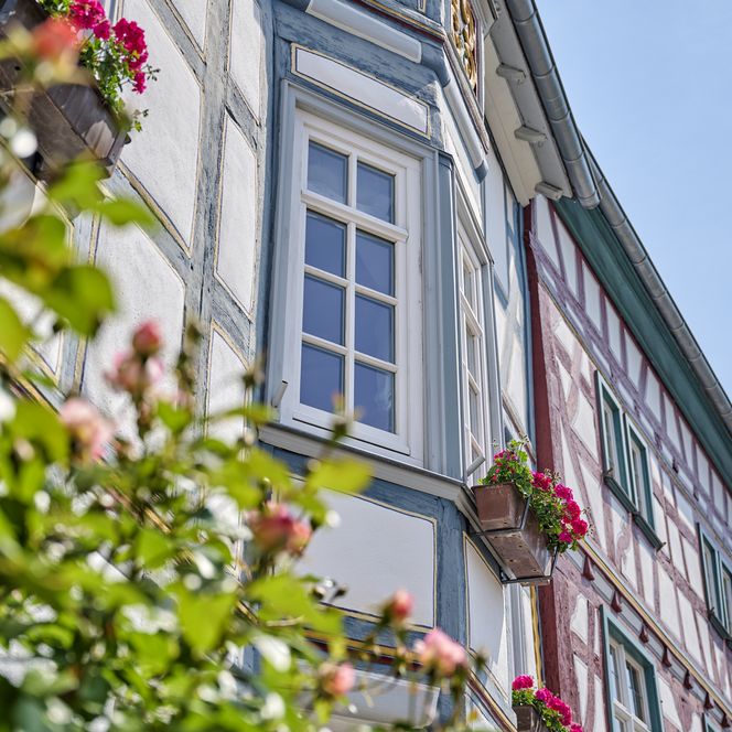Blick von unten auf das obere Stockwerk eines restaurierten Fachwerkhauses in Bad Camberg. Auf der linken Seite sind blühende Rosen zu sehen. 