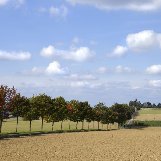 Das Foto zeigt die Hochtaunusstraße, die hier alleeartig von kleineren Bäumen begleitet wird. Die Felder sind braun. In weiterer Entfernung kann man gerade noch die Kreuzkapelle außerhalb von Bad Camberg erkennen. Der Himmel ist blau und leicht bewölkt. 