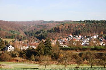 Waldems ist in der Mitte des Fotos zu sehen. Außen herum ist Wald und Feld. Die Aufnahme wurde im Winter gemacht. Die Bäume tragen kein Laub, es liegt jedoch kein Schnee. 