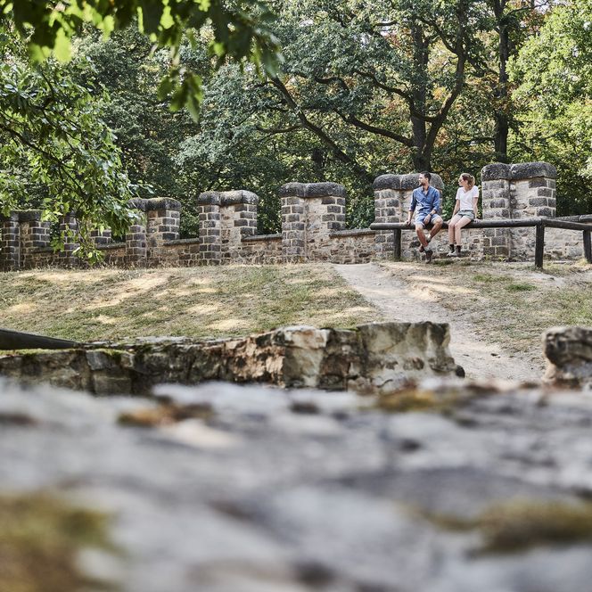 das Foto zeigt die sichtbaren Überreste des Kastell Kleiner Feldberg. Es sind noch viele niedrige Mauerreste zu sehen, die mit Moos bewachsen sind. Außen herum sind Bäume zu sehen. Das Foto wurde auf Höhe der Mauerreste aufgenommen.