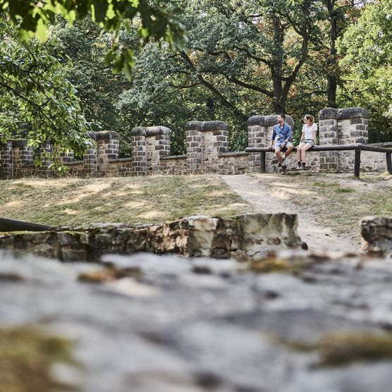 das Foto zeigt die sichtbaren Überreste des Kastell Kleiner Feldberg. Es sind noch viele niedrige Mauerreste zu sehen, die mit Moos bewachsen sind. Außen herum sind Bäume zu sehen. Das Foto wurde auf Höhe der Mauerreste aufgenommen.