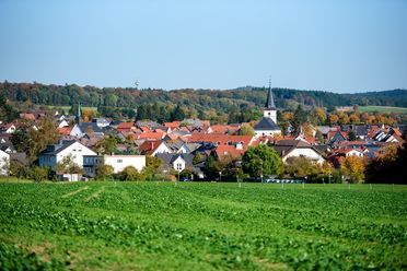 Von einer Wiese aus ist ein Teil Wehrheims zu sehen. Der Himmel ist blau, die Aufnahme ist im frühen Sommer entstanden. 